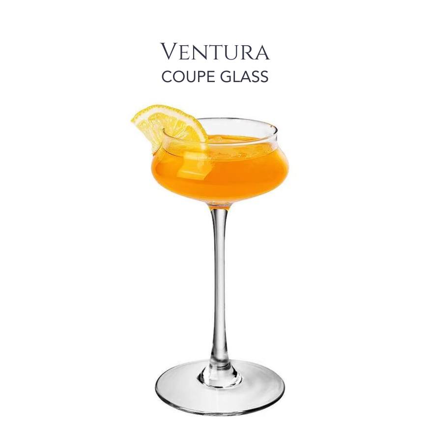 Ventura - Coupe Glass - Golden Age Bartending