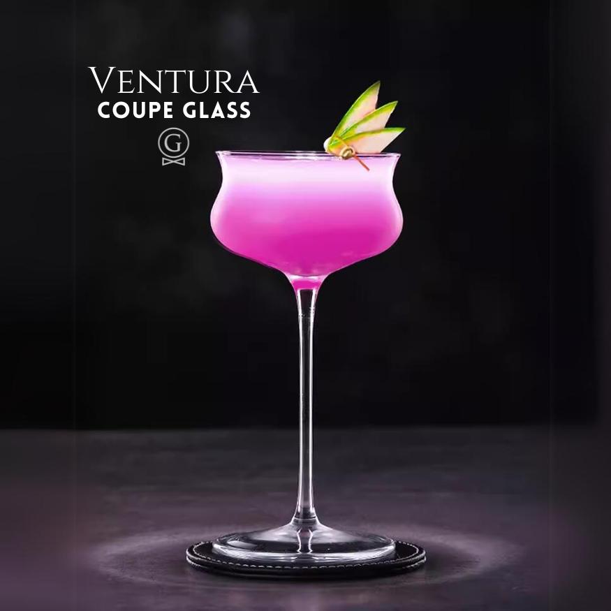 Ventura - Coupe Glass - Golden Age Bartending