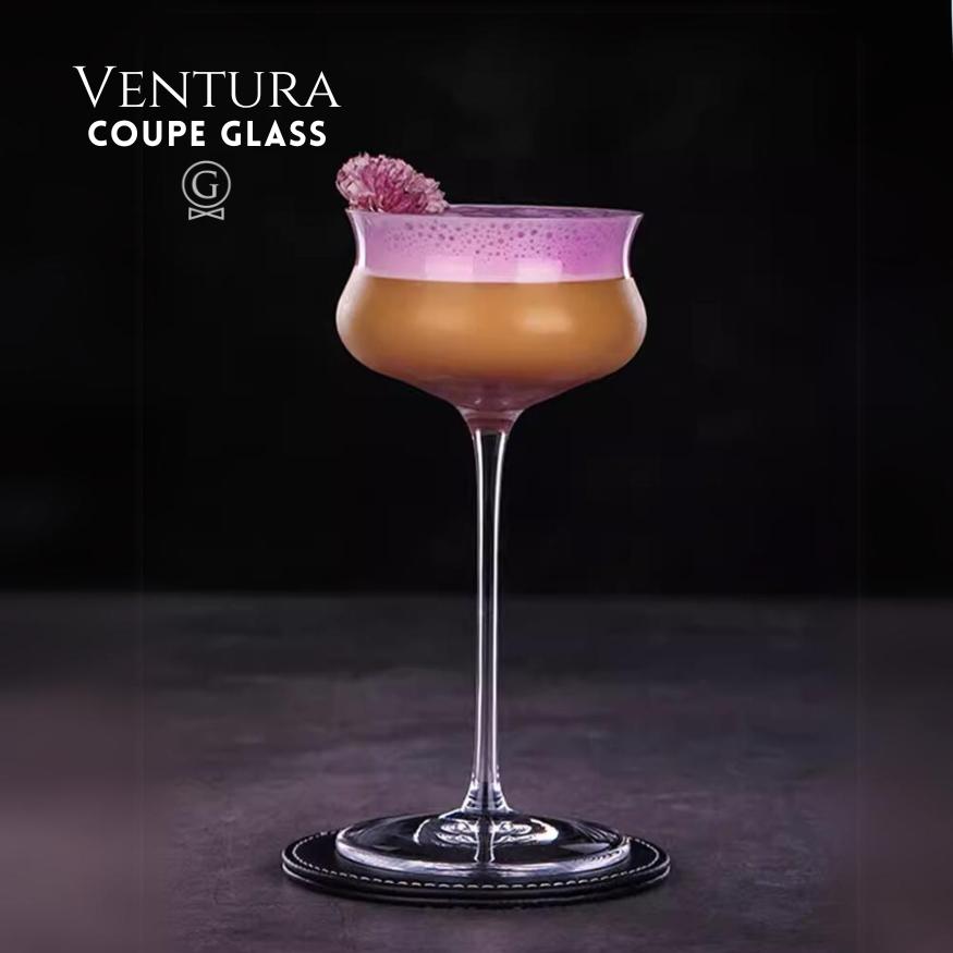 Ventura - Coupe Glass - Golden Age Bartending
